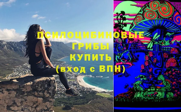 марки nbome Каменка