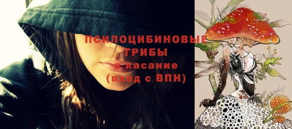 шишки Каменск-Шахтинский