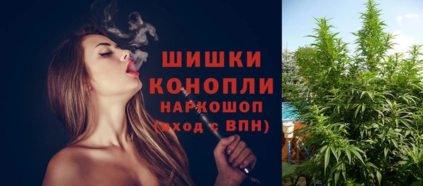 шишки Каменск-Шахтинский