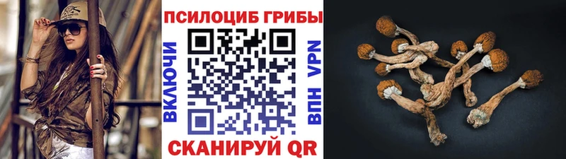 Галлюциногенные грибы Cubensis  Купить  Калязин 